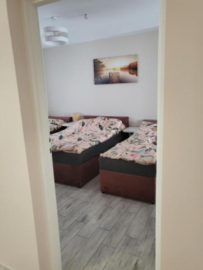 Zestaw rodzinny, Żyrardów
